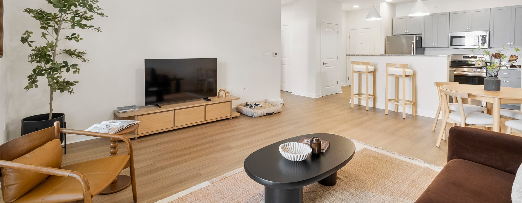 Virtual Tours