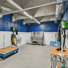 a spacious pet spa area