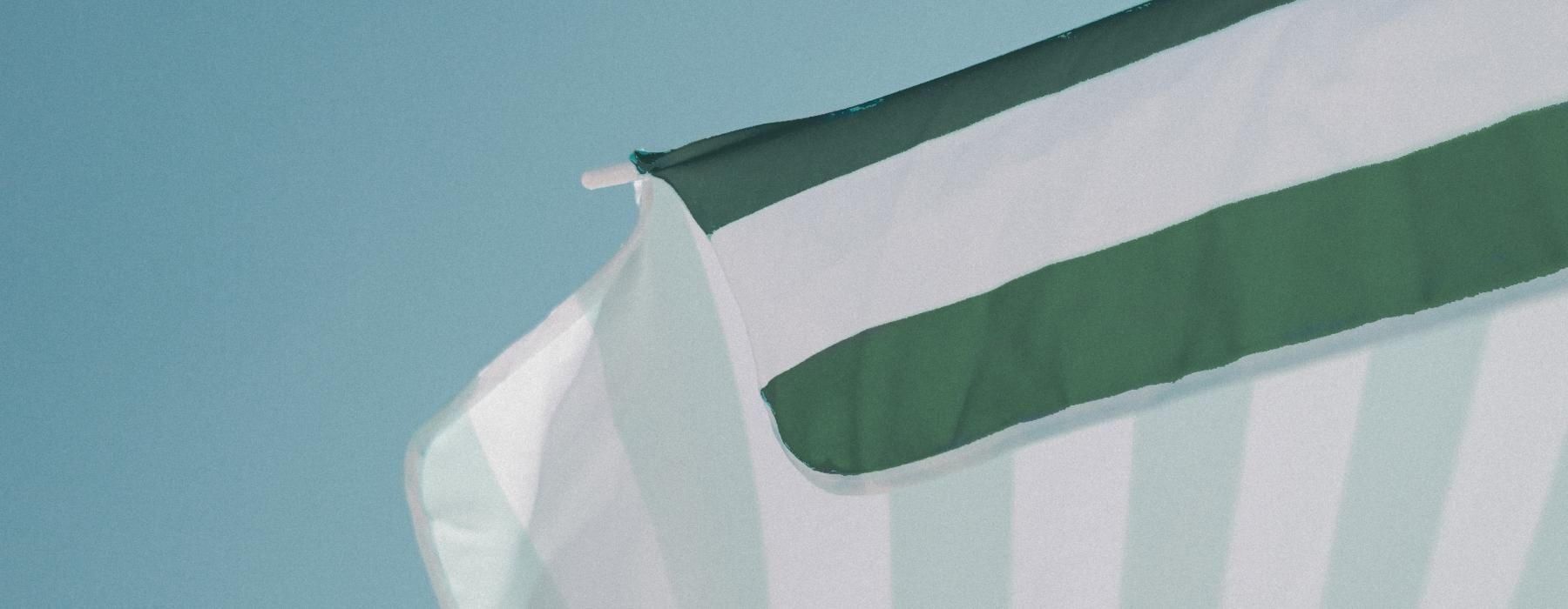 a green and white flag